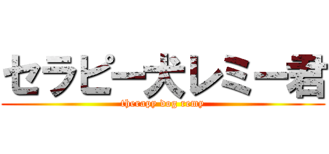 セラピー犬レミー君 (therapy dog remy)