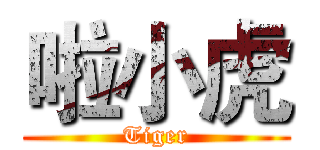 啦小虎 (Tiger)