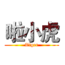 啦小虎 (Tiger)