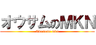 オウサムのＭＫＮ (Awesome mkn)