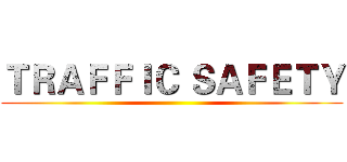 ＴＲＡＦＦＩＣ ＳＡＦＥＴＹ ()