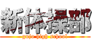 新体操部 (gujo high school)