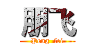 朋飞 (Peng  fei)