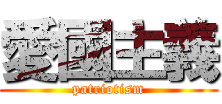 愛國主義 (patriotism)