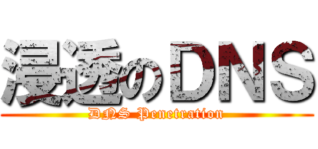 浸透のＤＮＳ (DNS Penetration)