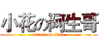 小花の阿生哥 (attack on titan)