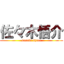 佐々木悟介 (sasaki shine)