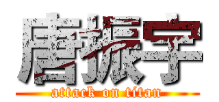 唐振宇 (attack on titan)