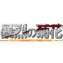 暴烈の菊花 (broken the chrysanthemum)