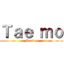Ｔａｅ ｍｏ (Monkey)