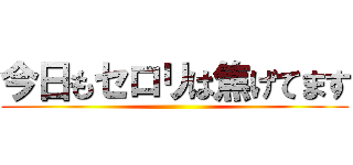 今日もセロリは焦げてます ()