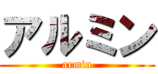 アルミン (armin)