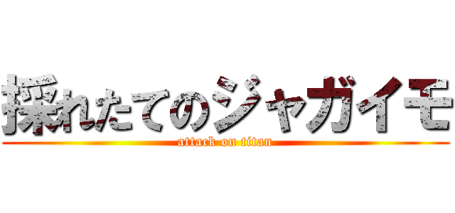 採れたてのジャガイモ (attack on titan)