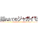 採れたてのジャガイモ (attack on titan)