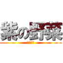 紫の野菜 (〜２－１)