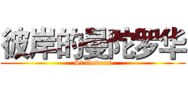 彼岸的曼陀罗华 (St flowers)