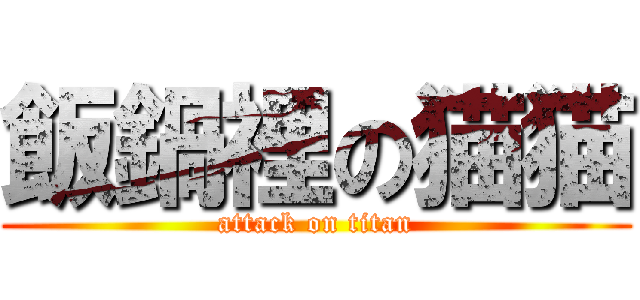 飯鍋裡の猫猫 (attack on titan)