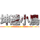 坤達小鳥 (attack on titan)