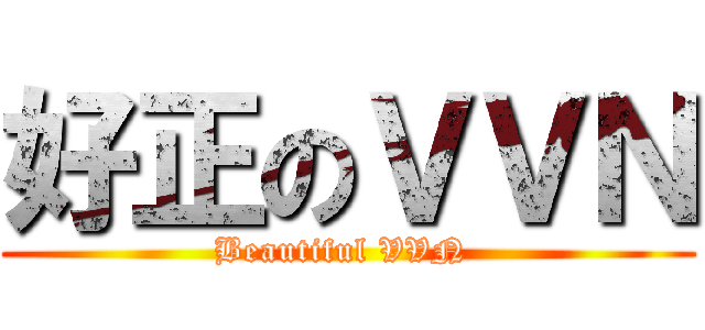 好正のＶＶＮ (Beautiful VVN )