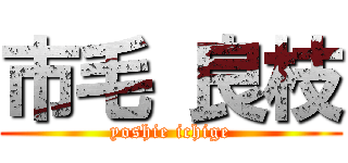 市毛 良枝 (yoshie ichige)