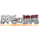 灰毛の狼尾 (Fight of Ookami  )