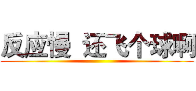 反应慢  还飞个球啊 ()
