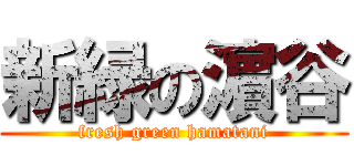 新緑の濵谷 (fresh green hamatani)