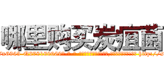 哪里购买炭疽菌 (哪里购买炭疽菌【电-186x2687x6963-Q278180069元-吉-药-业】我们做的是长期生意,靠的是老客户长期支持 http://sngk.net/SBcIrA
)