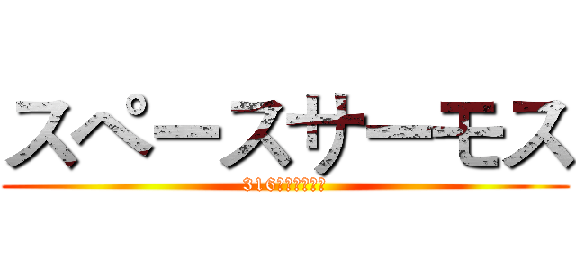 スペースサーモス (316ステンレス鋼)
