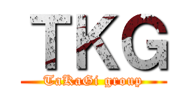 ＴＫＧ (TaKaGi group)