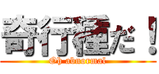 奇行種だ！ (Oh abnormal)