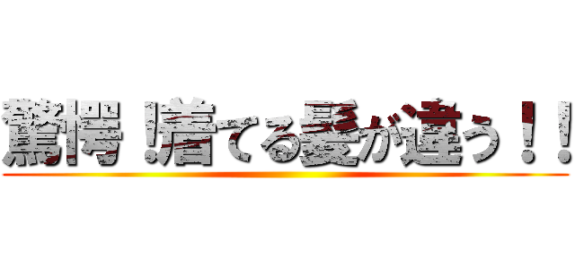 驚愕！着てる髪が違う！！ ()