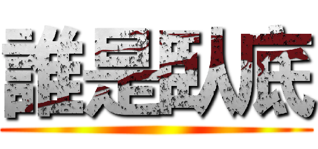 誰是臥底 ()