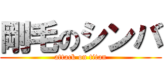 剛毛のシンバ (attack on titan)