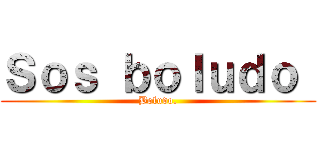 Ｓｏｓ ｂｏｌｕｄｏ  (Boludo.)