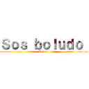Ｓｏｓ ｂｏｌｕｄｏ  (Boludo.)