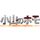 小山のホモ (KOYAMA HOMO)