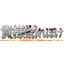 貴様黙れぼけ (attack on titan)