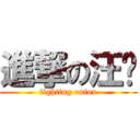 進撃の汪聪 (fighting onion)