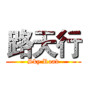 路天行 (Sky Road)