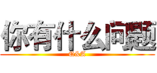 你有什么问题 (Q&A)