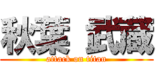 秋葉 武蔵 (attack on titan)