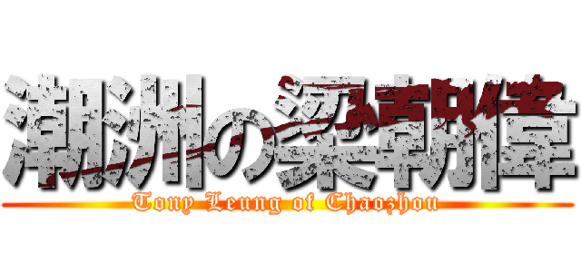 潮洲の梁朝偉 (Tony Leung of Chaozhou)