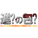 進擊の包姊 (attack on titan)