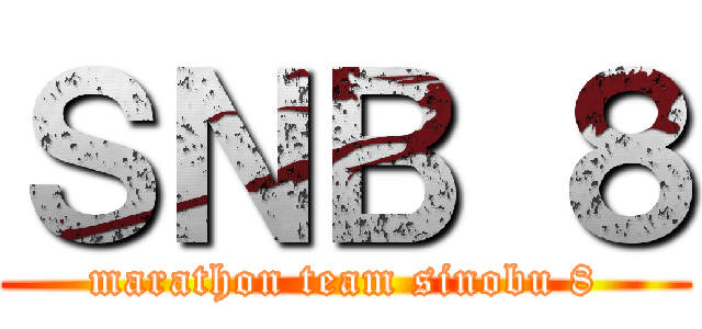 ＳＮＢ ８ (marathon team sinobu 8)