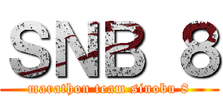 ＳＮＢ ８ (marathon team sinobu 8)