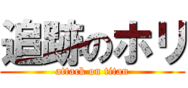 追跡のホリ (attack on titan)