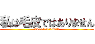 私は毛皮ではありません (En oo Turri mutta)