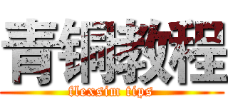 青铜教程 (flexsim tips)