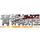 青铜教程 (flexsim tips)